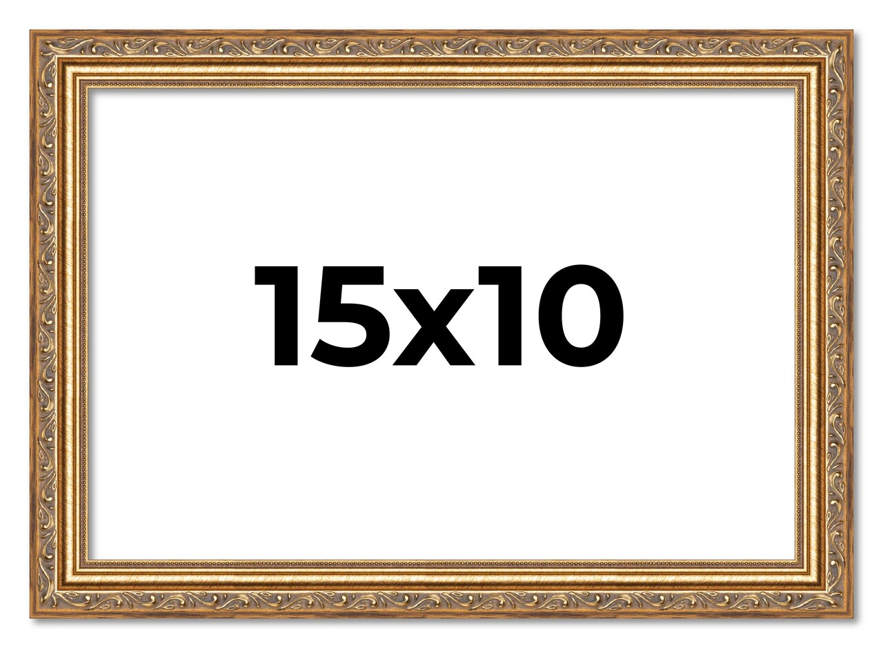 15x10 Solid Wood Antique Picture Frame with UV-Resistant Acrylic & Acid-Free Backing, Available in 4 Finishes: Bronze, Gold, Silver, and Gold with Black